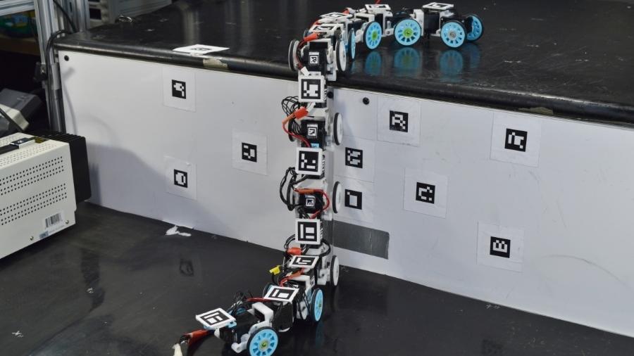 Cobra-robô pode chegar a locais de difícil acesso - Divulgação/ Universidade Johns Hopkins