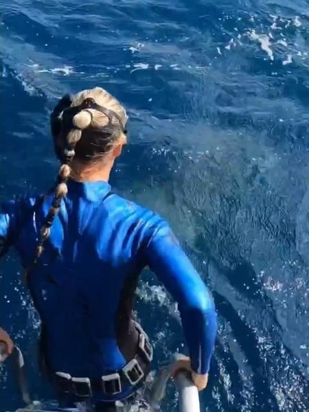 O vídeo da mergulhadora viralizou nas redes sociais - Reprodução
