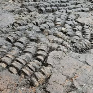 Team Archeologie/gemeente Alkmaar