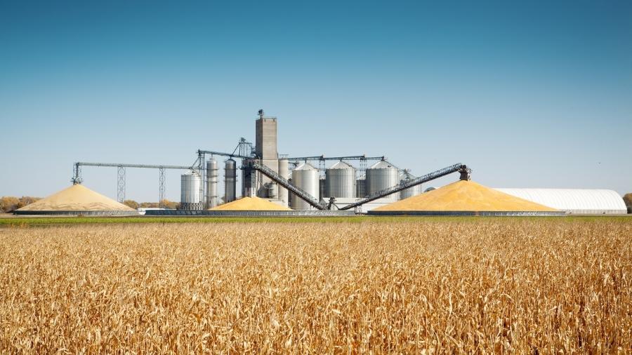 A produção de grãos, como milho e soja, no Paraná pode chegar a 25,6 milhões de toneladas na safra de verão - Getty Images