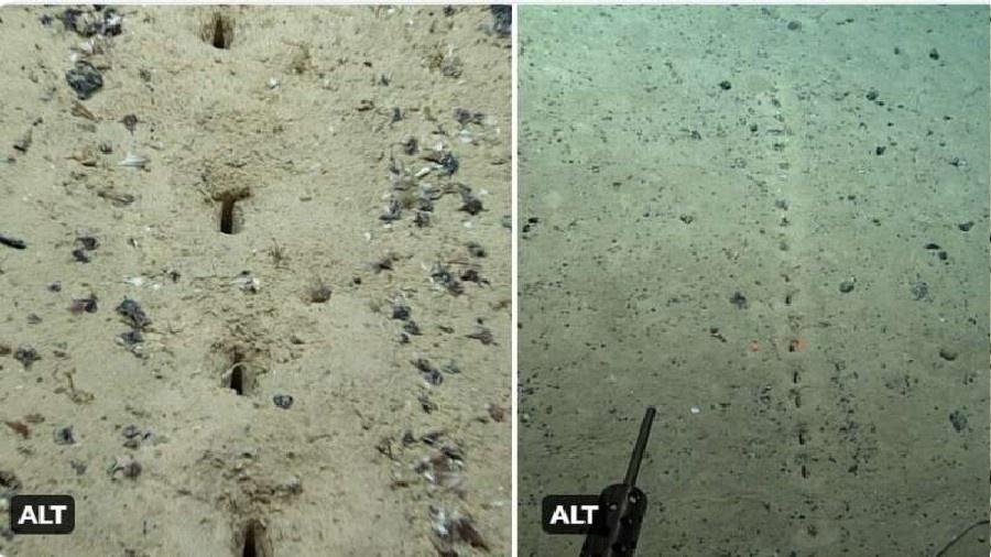 Mergulhadores identificaram buracos organizados em linha reta no fundo do Oceano Atlântico - Divulgação/NOAA
