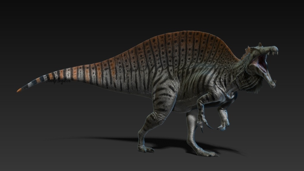 Rodolfo Nogueira / Divulgação