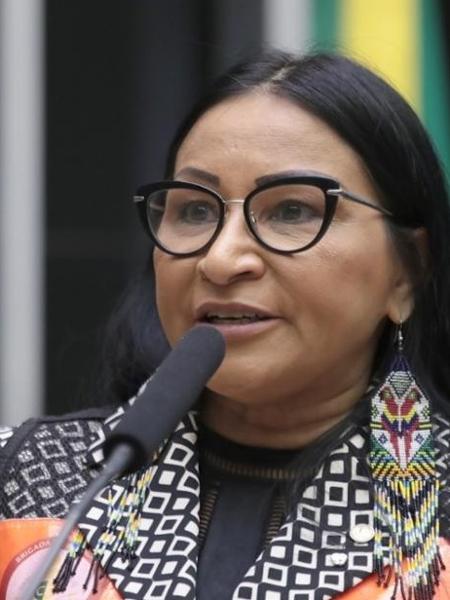 A deputada federal Silvia Waiapi - 14.mai.2024-Zeca Ribeiro / Câmara dos Deputados