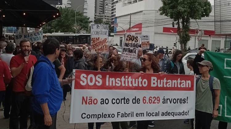 Vizinhos protestaram contra derrubada de mais de 6.000 árvores no Instituto Butantan Vizinhos protestaram contra derrubada de mais de 6.000 árvores no Instituto Butantan