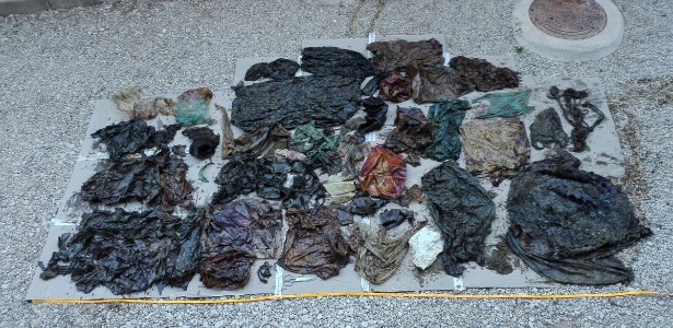 Plástico encontrado no interior da cachalote: 29 quilos de lixo - Espacios Naturales Región de Murcia/Twitter - Espacios Naturales Región de Murcia/Twitter