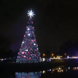 Fotos: Árvores de Natal pelo mundo - 06/12/2018 - UOL Notícias