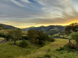 PL dos bioinsumos  avança com elogios do agro e de ambientalistas