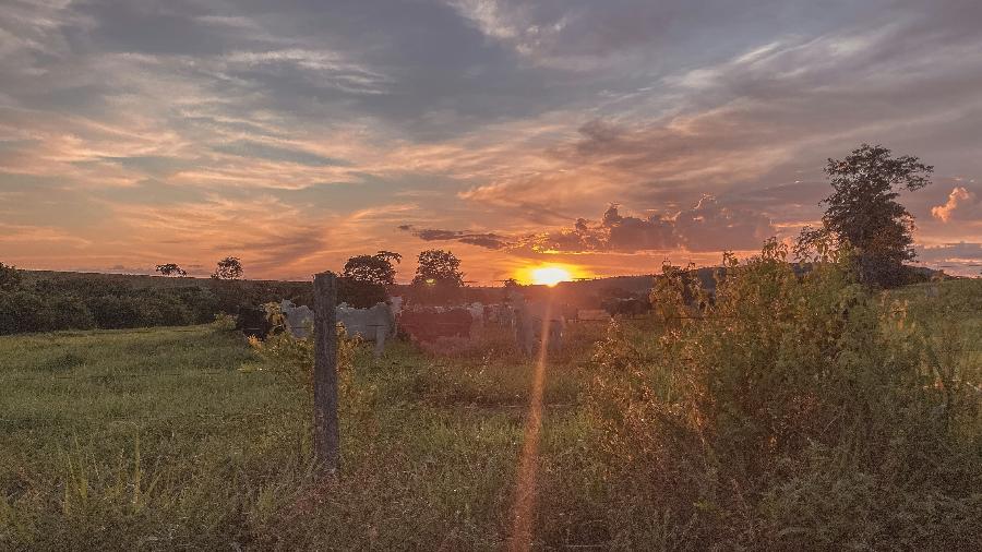 Pôr-do-sol em fazenda de criação de gado no Pará