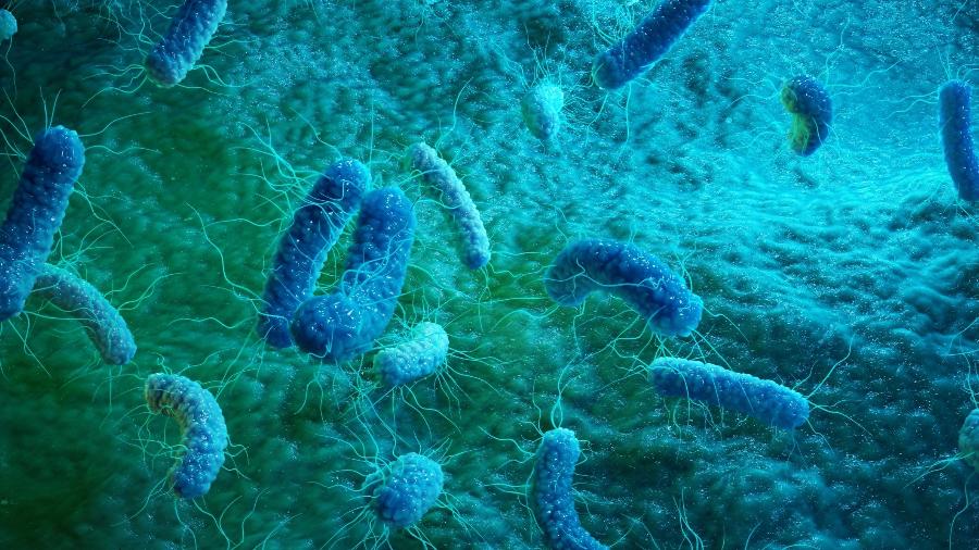Cientistas descobriram que o compartilhamento de genes entre bactérias do organismo humano é 30% maior que o de outras no resto da natureza - Getty Images/iStockphoto