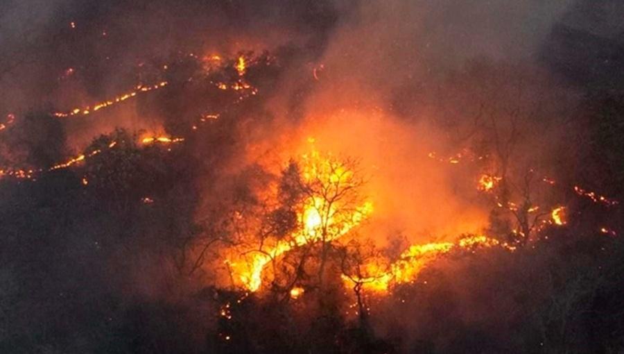 Queimadas no Brasil: área queimada quase dobra no Brasil em 2019, e  equivale a SP e RJ juntos