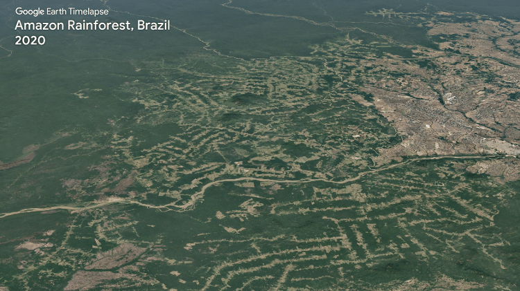 Imagens de parte da Amazônia em 2020 - Reprodução - Reprodução