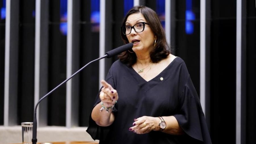 Deputada federal Bia Kicis (PL-DF) foi reeleita para mais um mandato na Câmara - Pablo Valadares/Câmara dos Deputados