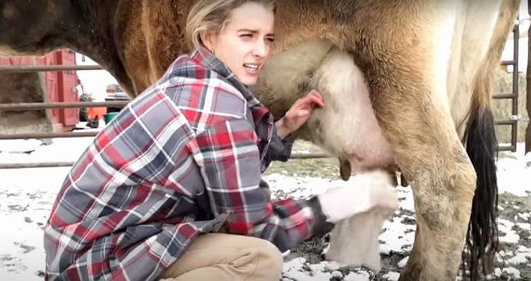 Hannah Neeleman, conhecida como Ballerina Farm