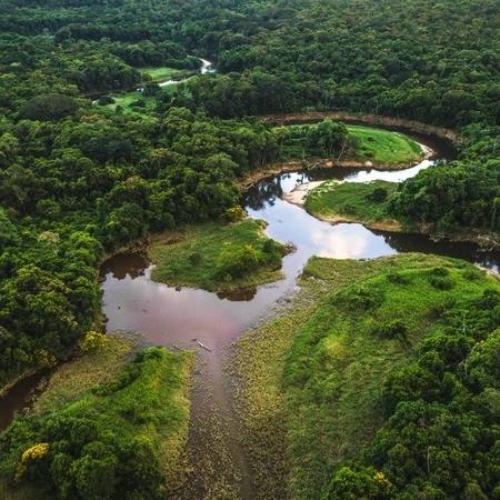 Além da Mata Atlântica, Caatinga, Pampa e Pantanal também serão fiscalizados - Getty Images