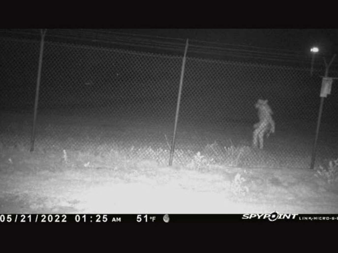 Coisas estranhas capturadas por cameras