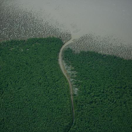 O parque nacional do Cabo Orange, no extremo norte do Brasil, congrega biomas variados, como mangues e florestas tropicais, além de um bioma ainda pouco conhecido, o recife de corais da foz do rio Amazonas, ameaçado pela exploração de petróleo no local O parque nacional do Cabo Orange, no extremo norte do Brasil, congrega biomas variados, como mangues e florestas tropicais, além de um bioma ainda pouco conhecido, o recife de corais da foz do rio Amazonas, ameaçado pela exploração de petróleo no local