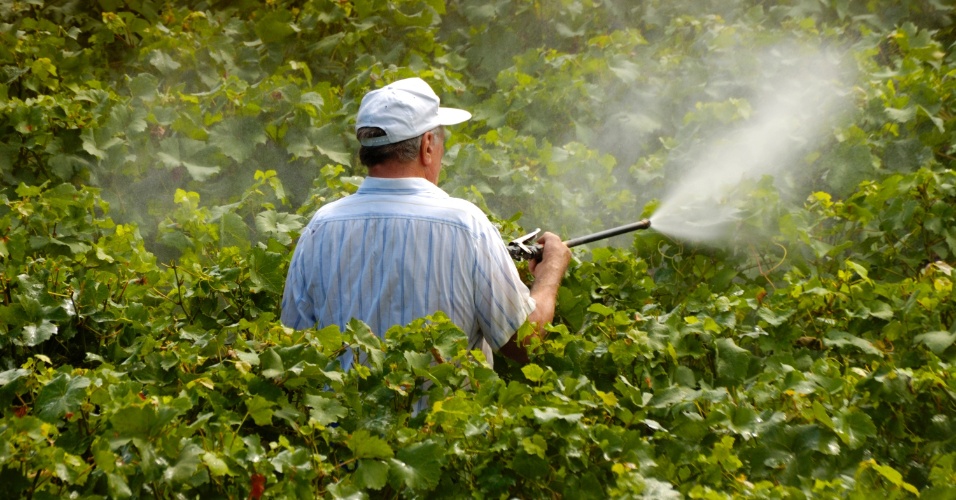 Getty Images/iStockphoto