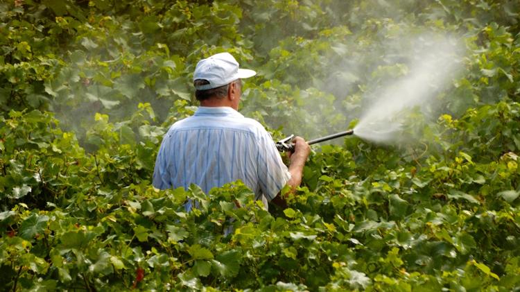 Aplicação de agrotóxicos sem o uso de equipamento de proteção