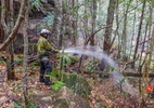 Incêndios deixam destruição e mortos na Austrália - NSW NPWS/via REUTERS