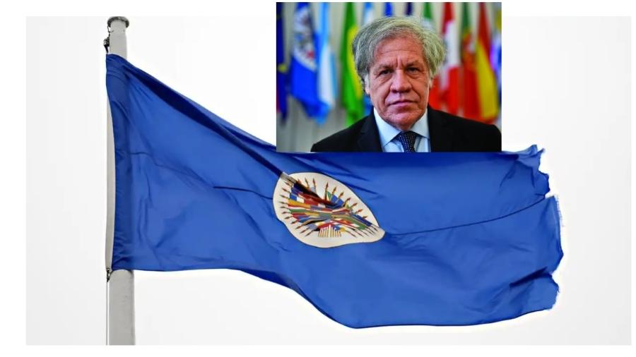 A bandeira da Organização dos Estados Americanos e o presidente da entidade, Luis Almagro, que cria mais dificuldades do que propõe soluções