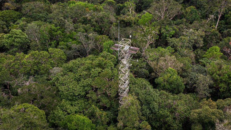 Torre do projeto AmazonFACE, uma iniciativa brasileira e britânica para monitorar mudanças climáticas na floresta amazônica - Raul Vasconcelos/Ascom MCTI/Divulgação via Reuters