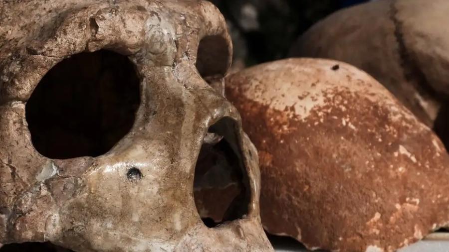 Acredita-se que neandertais, denisovanos e os primeiros humanos modernos tenham coexistido por até 300 mil anos