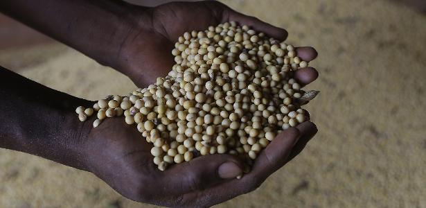 Saiba quais setores saem ganhando no Brasil com dólar a R$ 6