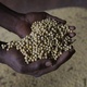 Quebra da safra de soja em 2024 terá sério impacto na economia; entenda - Lúcio Távora/Xinhua
