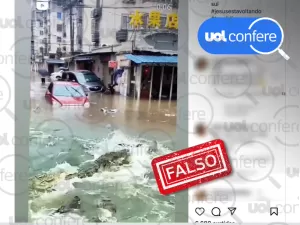 Vídeo de crocodilos em enchente é montagem e não aconteceu no RS