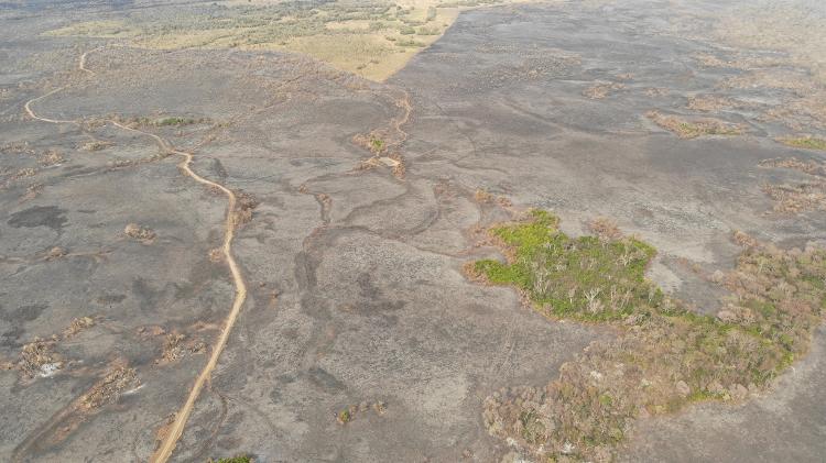 Foto aérea da Reserva Santa Sofia, no Pantanal Sul