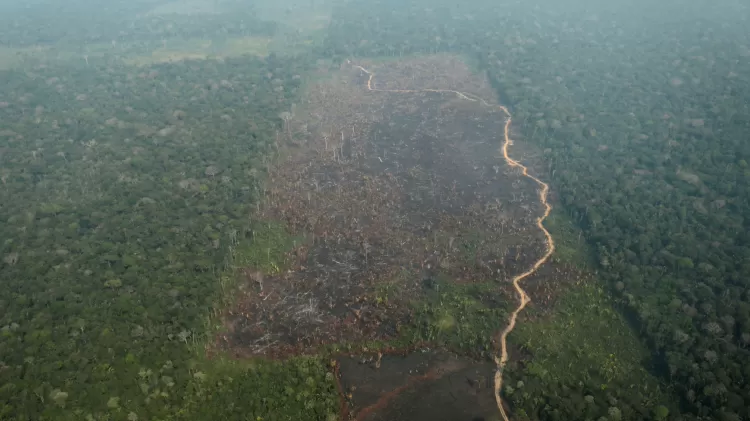 Vista áerea de área desmatada na Amazônia, nos arredores de Humaitá (AM) - Ueslei Marcelino/Reuters - Ueslei Marcelino/Reuters