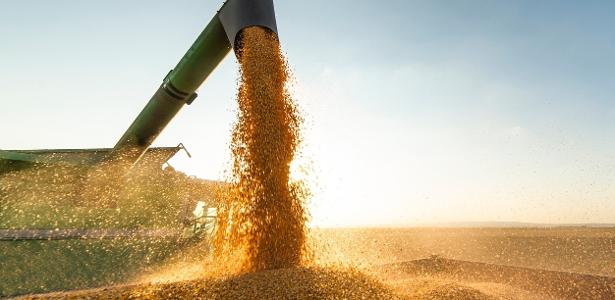 Estoque de produtos agrícolas totaliza 44,6 milhões de t no último semestre