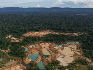 Amazônia: 'Garimpos fantasmas' lavam ouro ilegal e faturam bilhões