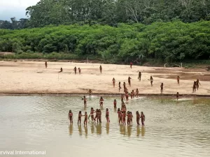 Maior povo isolado do mundo se aproxima e gera medo de contato mortal no AC