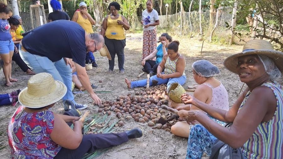 Cooperativa de quebradeiras de coco em Itapecuru-Mirim: grupo está sem apoio do Alimenta Brasil - Arquivo pessoal/ Maria Domingas Marques Pinto