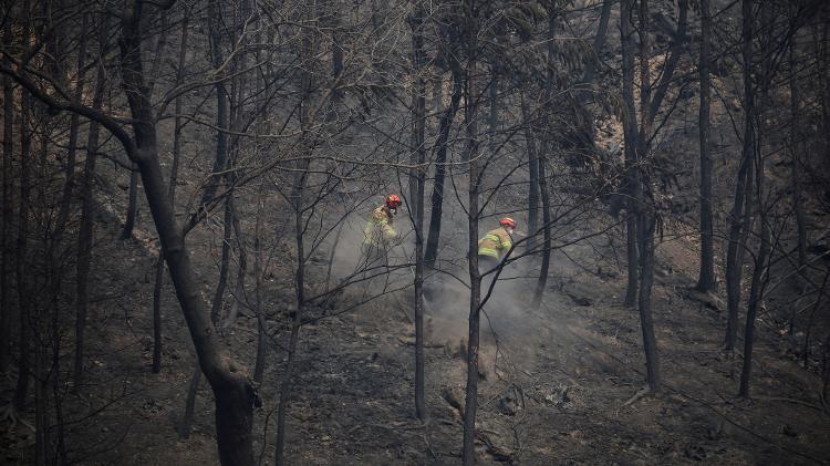 27.mar.2025 - Bombeiros apagam as brasas em uma montanha perto do templo de Gounsa depois que um incêndio florestal devastou a área, em Uiseong, Coreia do Sul 27.mar.2025 - Bombeiros apagam as brasas em uma montanha perto do templo de Gounsa depois que um incêndio florestal devastou a área, em Uiseong, Coreia do Sul