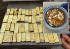 Operários encontram R$ 54 milhões em ouro durante obra na Bélgica
