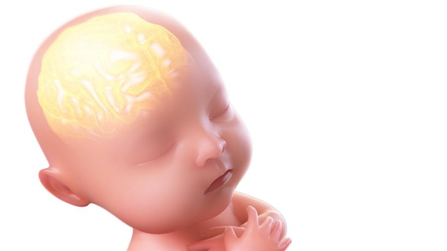 Bebês podem nascer com uma inteligência modificada - Getty Images