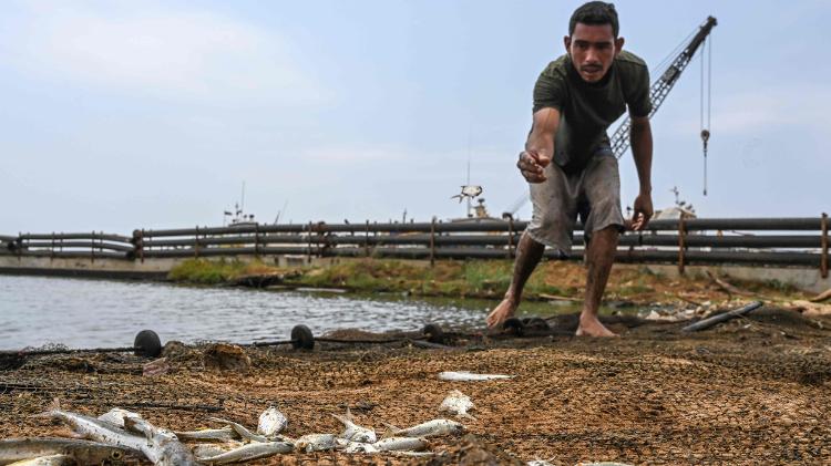 Um pescador venezuelano checa quantos peixes capturou com sua rede no lago de Maracaibo  - JUAN BARRETO/AFP - JUAN BARRETO/AFP