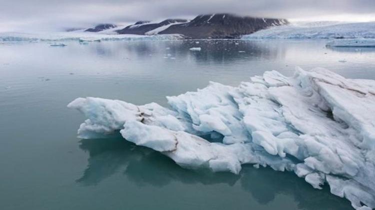 O Ártico é considerado um dos últimos ambientes primitivos da Terra - Getty Images - Getty Images