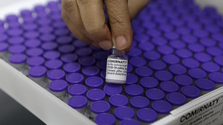 Pfizer entrega hoje novo lote de vacinas contra a covid-19 - Reprodução/Twitter Paulo Câmara