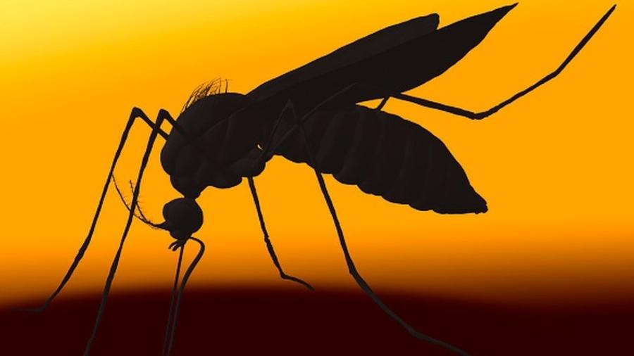 Foco na pandemia de covid-19 é um dos fatores por trás de descontrole nos casos de dengue - Getty Images