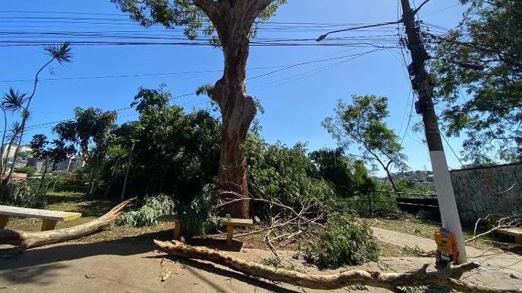 Árvore caída na tarde de segunda (6) na rua Anum Preto, no Valo Velho