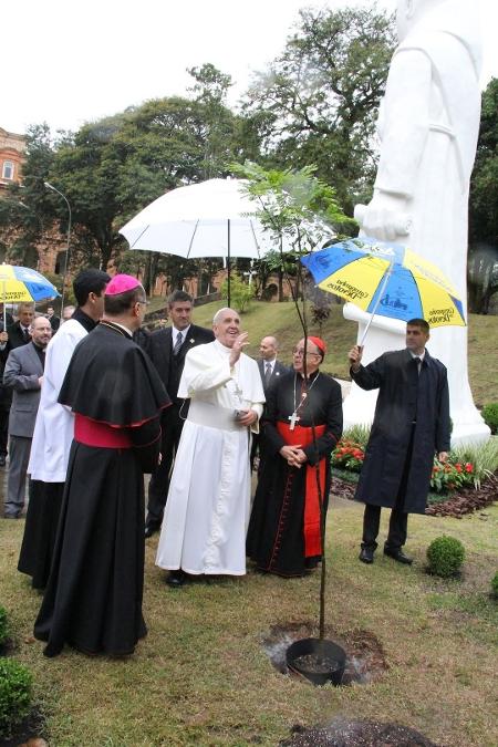 Papa Francisco ajudou a plantar uma muda de pau-brasil Papa Francisco ajudou a plantar uma muda de pau-brasil