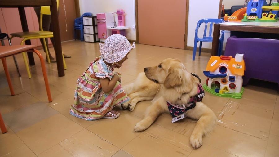A cadelinha Hope, uma golden retriever de 10 meses de idade, visita as crianças que fazem tratamento no Inca (Instituto Nacional do Câncer), no Rio - Taís Vilela/UOL