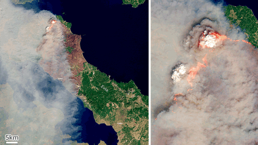 Imagens de satélite de incêndios florestais em Evia, na Grécia - Copernicus/Sentinel-2