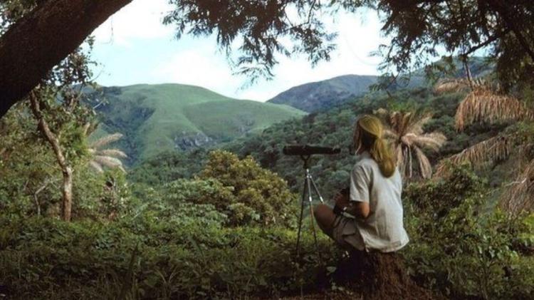 A pesquisa com chimpanzés - JANE GOODALL INSTITUTE - JANE GOODALL INSTITUTE