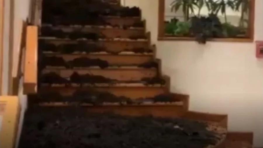 Escada que dá acesso a lobby de hotel ficou tomada pela lama após deslizamento na cidade de Rio Negro - Reprodução