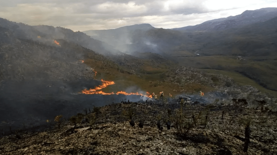 Incêndio no Parque Nacional da Serra do Cipó, no interior de Minas Gerais - Corpo de Bombeiros / Divulgação