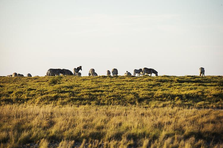 Makgadikgadi Pans (dentro da bacia do Kalahari), em Botsuana - Eduardo Knapp/Folhapress - Eduardo Knapp/Folhapress